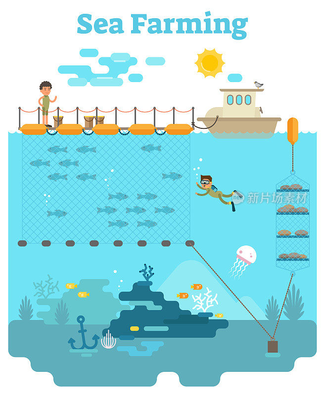 Sea Farming illustration